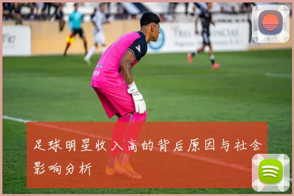 足球明星收入高的背后原因与社会影响分析