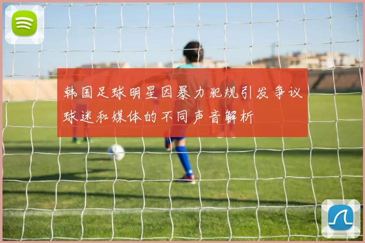 韩国足球明星因暴力犯规引发争议球迷和媒体的不同声音解析