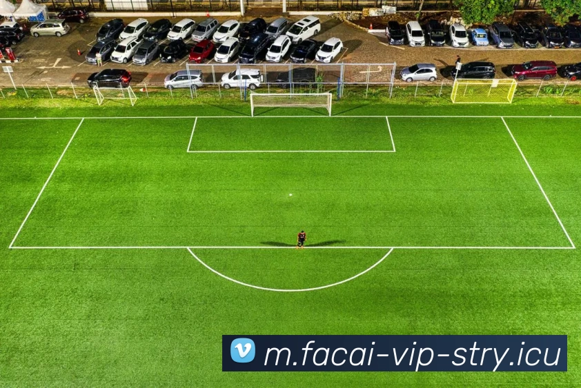 乐鱼体育服务体系